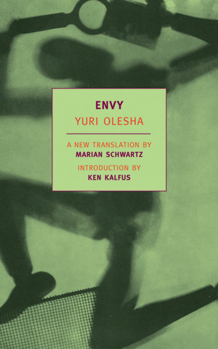 Envy book cover