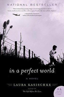 In a Perfect World book cover
