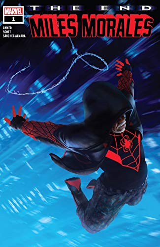 The End book cover 1