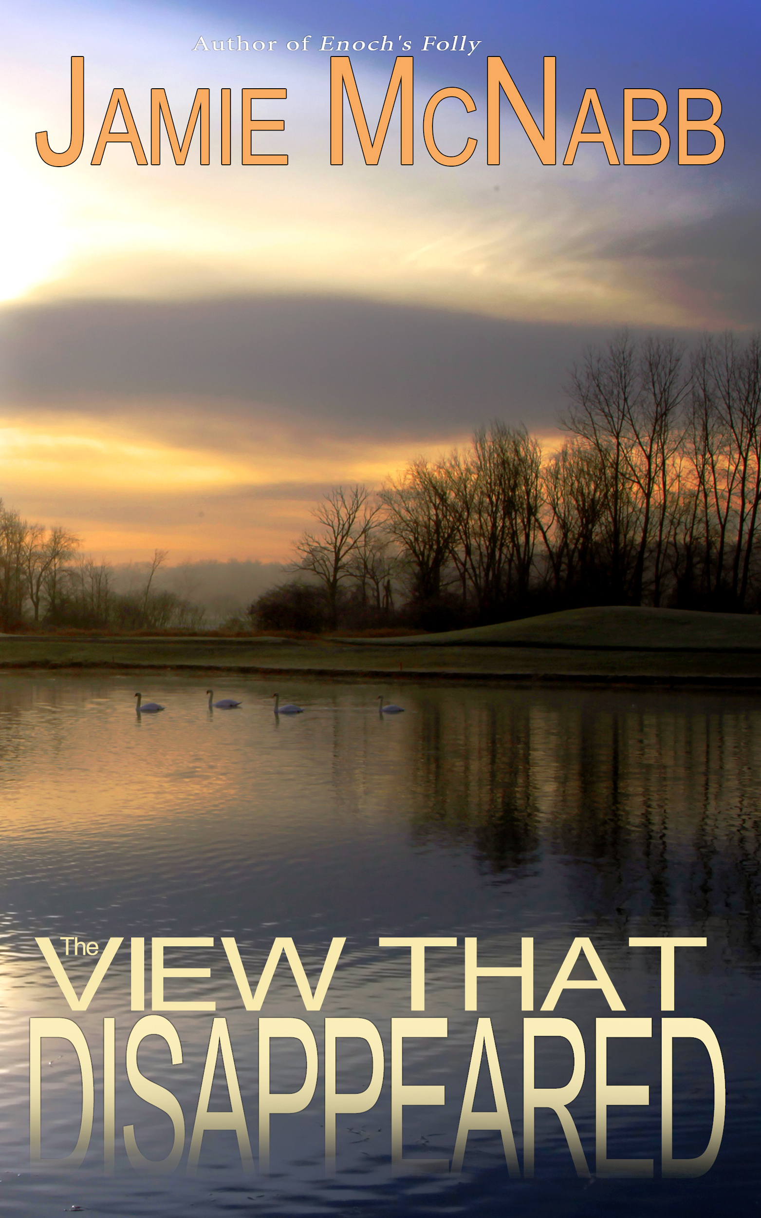 The View that Disappeared book cover