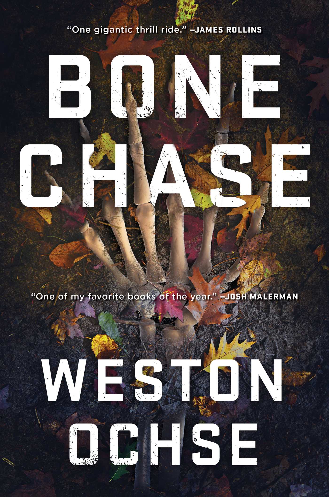 Bone Chase book cover
