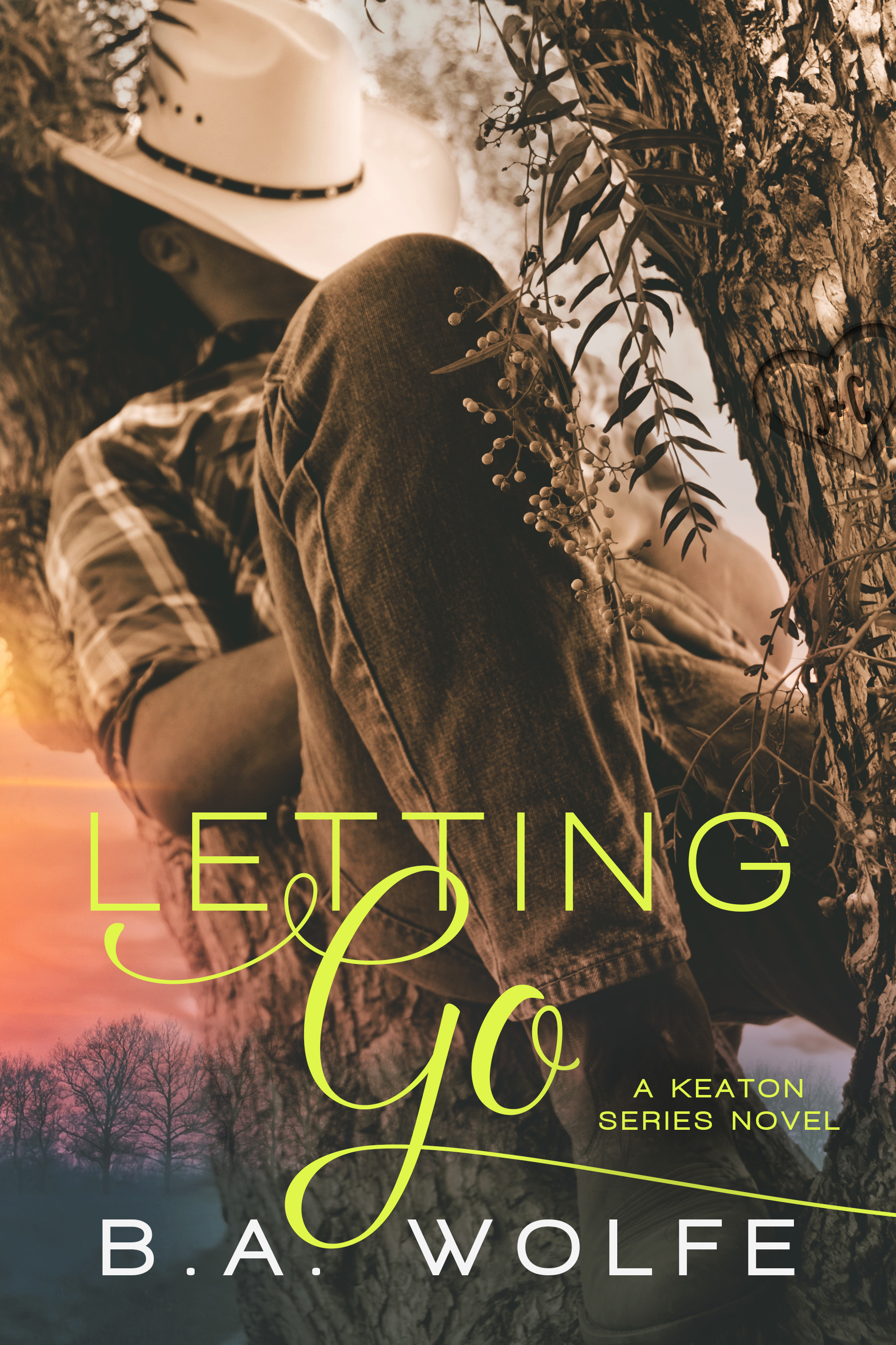 Letting Go book cover