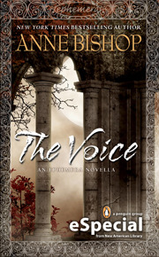 The Voice book cover