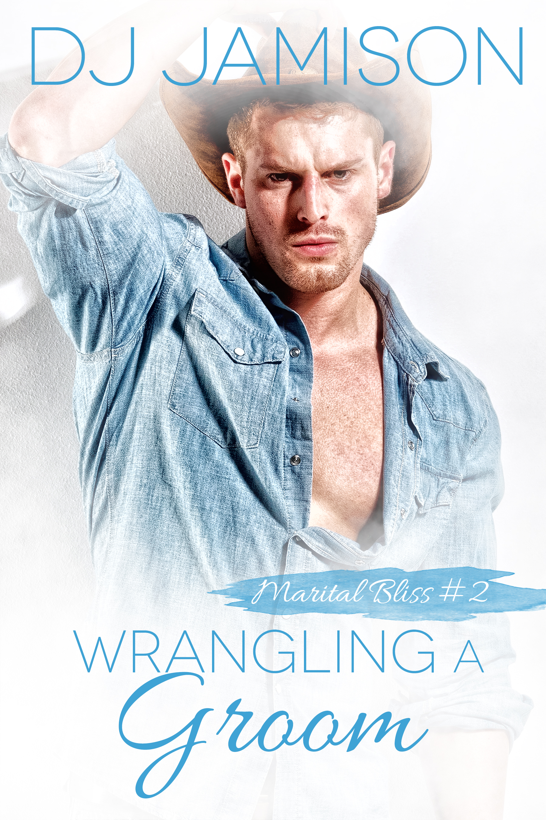 Marital Bliss book cover 2