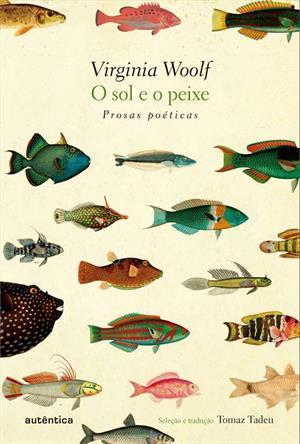 O Sol e o Peixe book cover