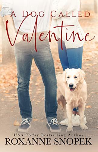 A Dog Called Valentine book cover