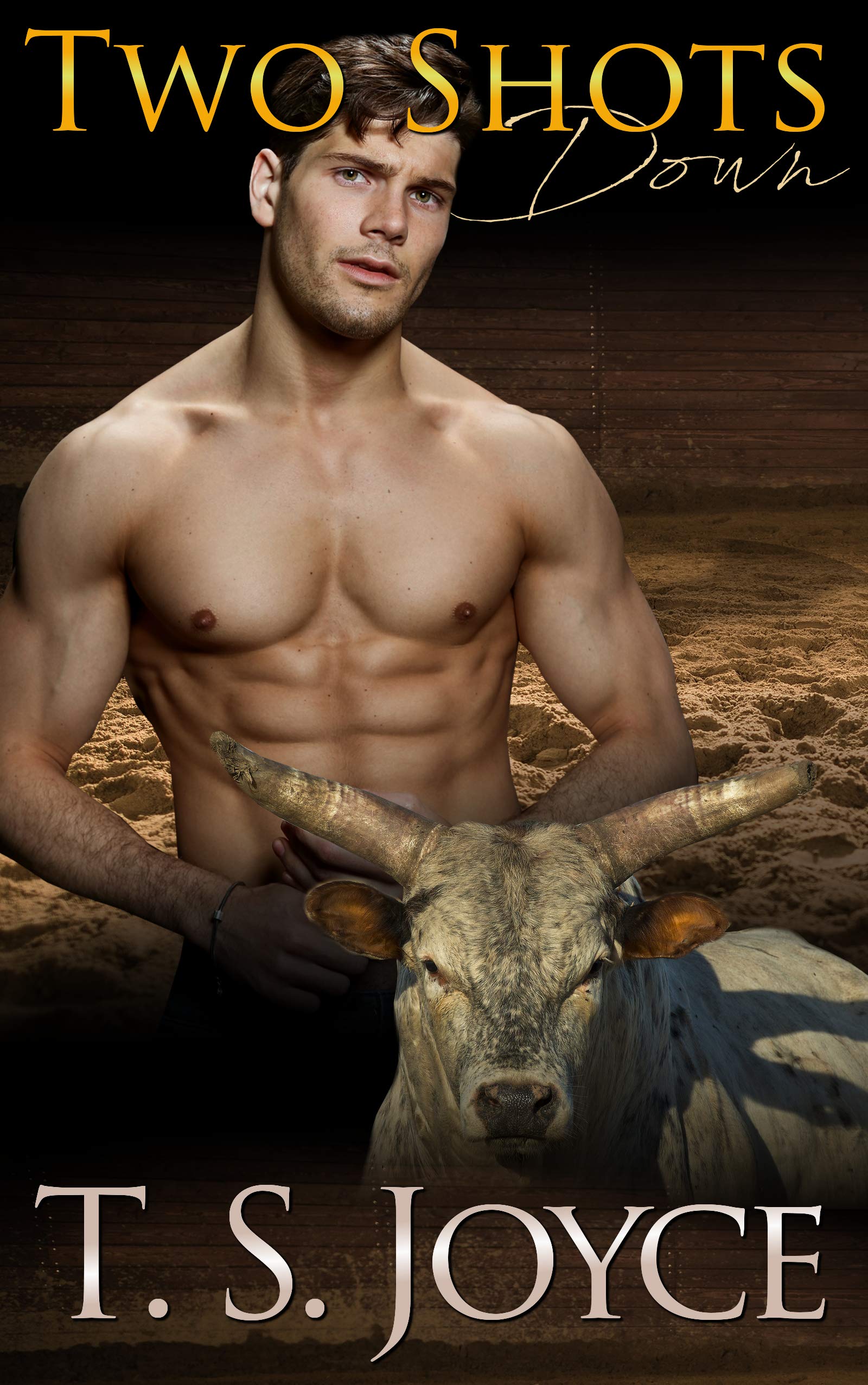 Battle of the Bulls book cover 1