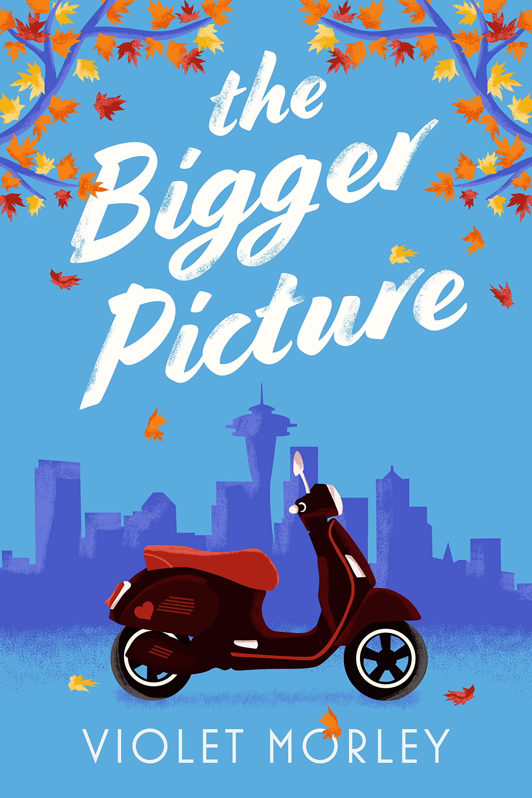 The Bigger Picture book cover