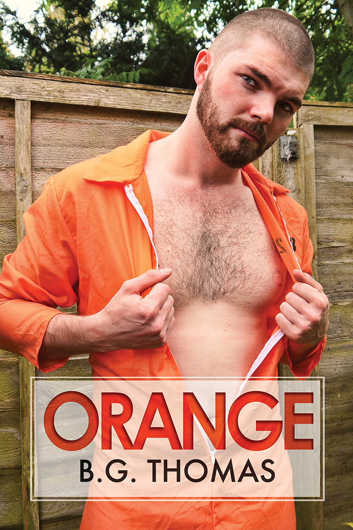 Orange book cover