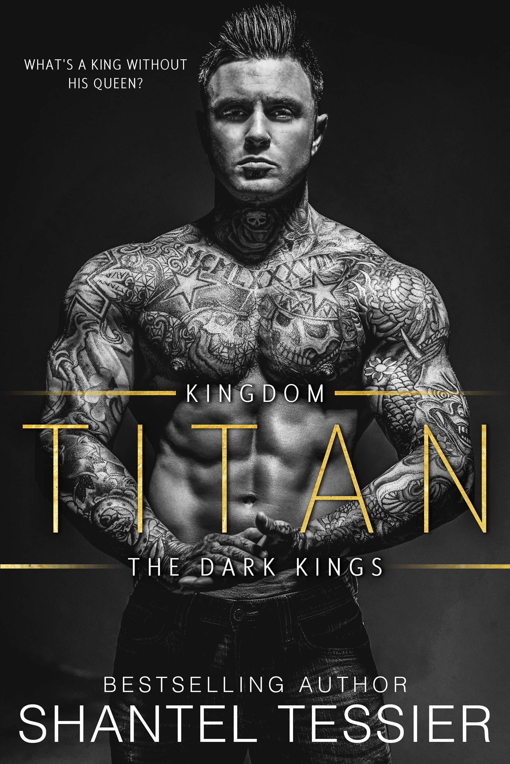 Dark Kingdom book cover 2