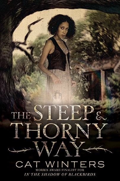 The Steep & Thorny Way book cover