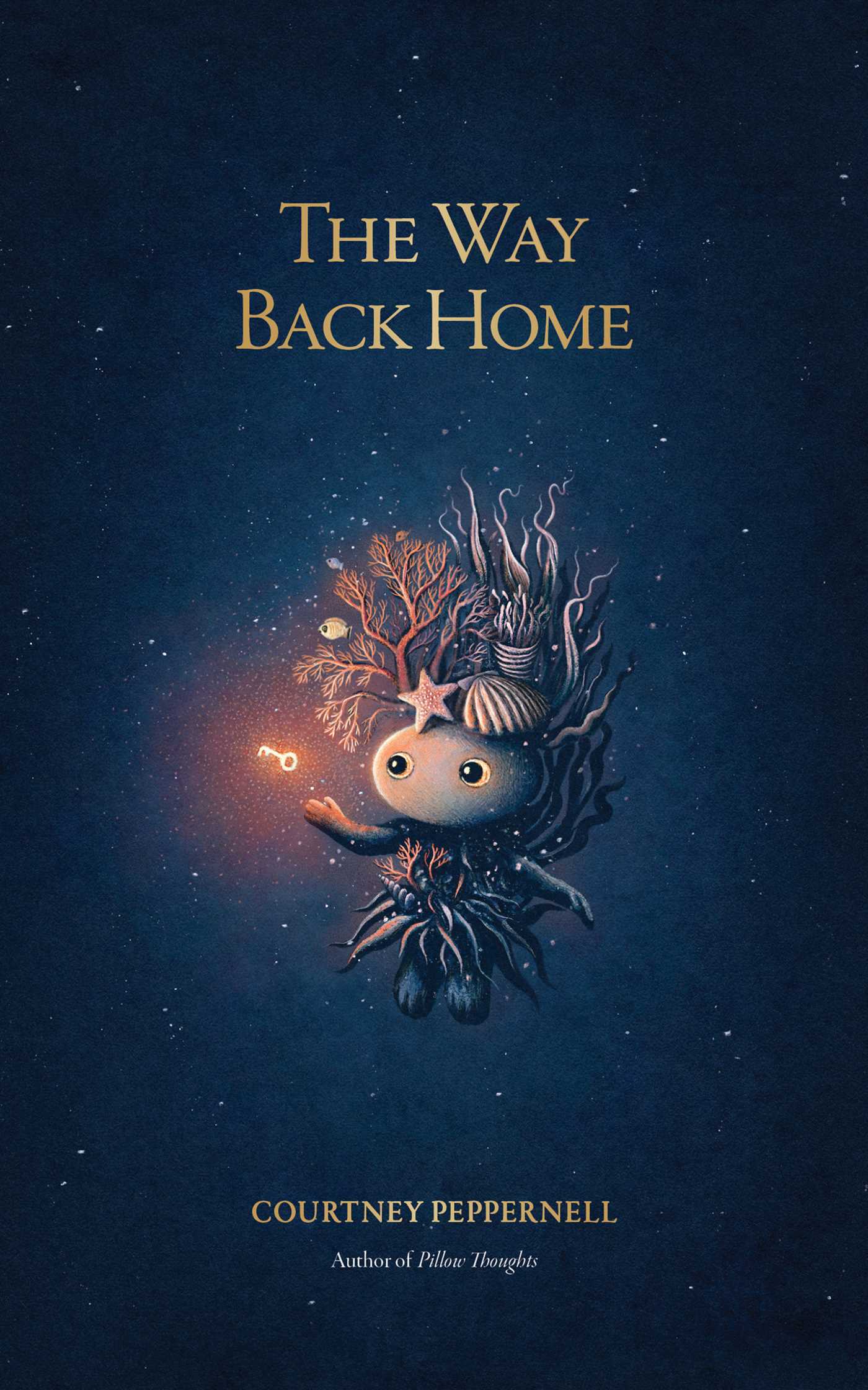 The Way Back Home book cover
