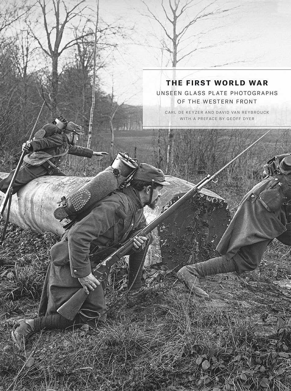 The First World War book cover