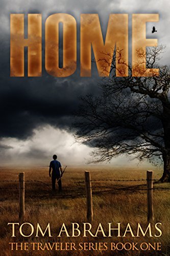The Traveler book cover 1