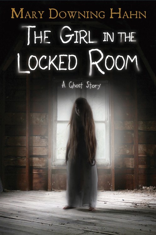 The Girl in the Locked Room book cover