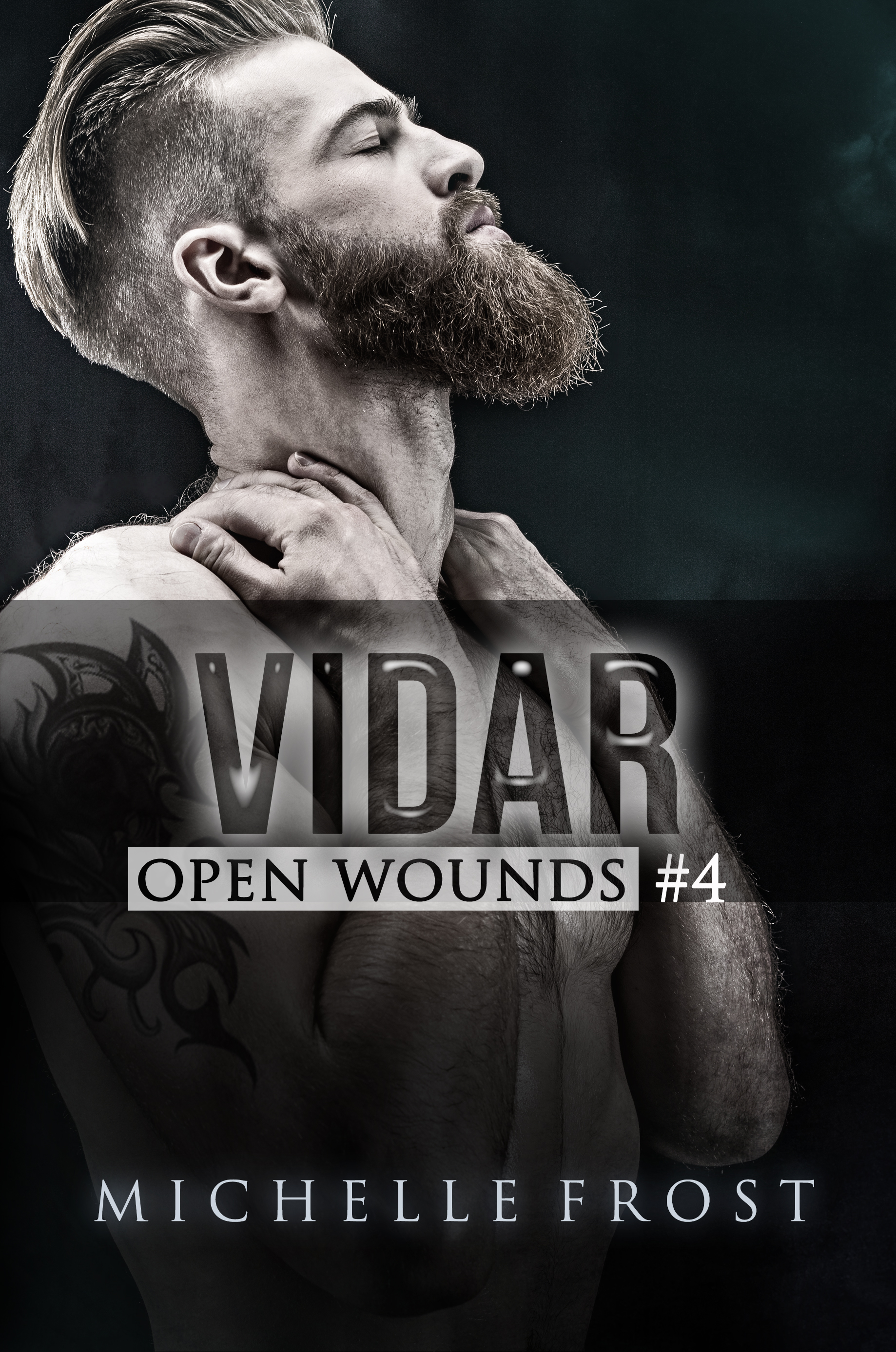 Vidar book cover