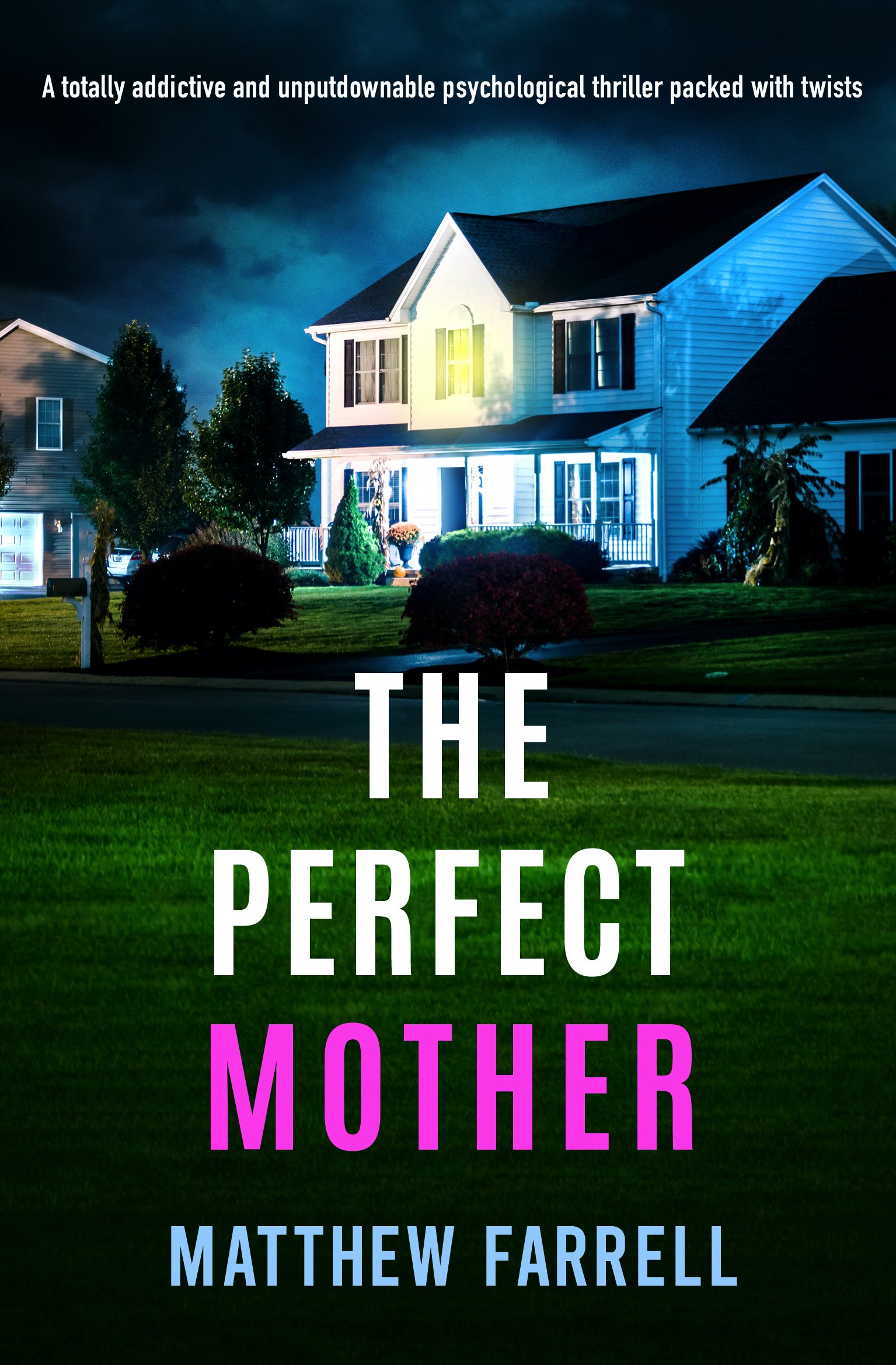 The Perfect Mother book cover