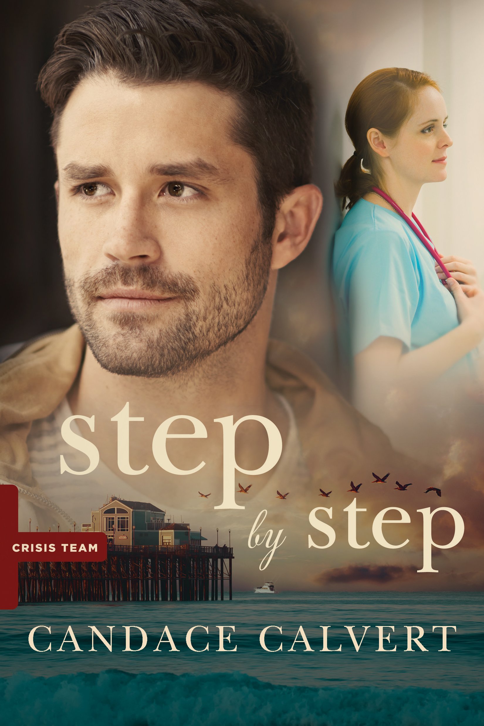 Crisis Team book cover 2