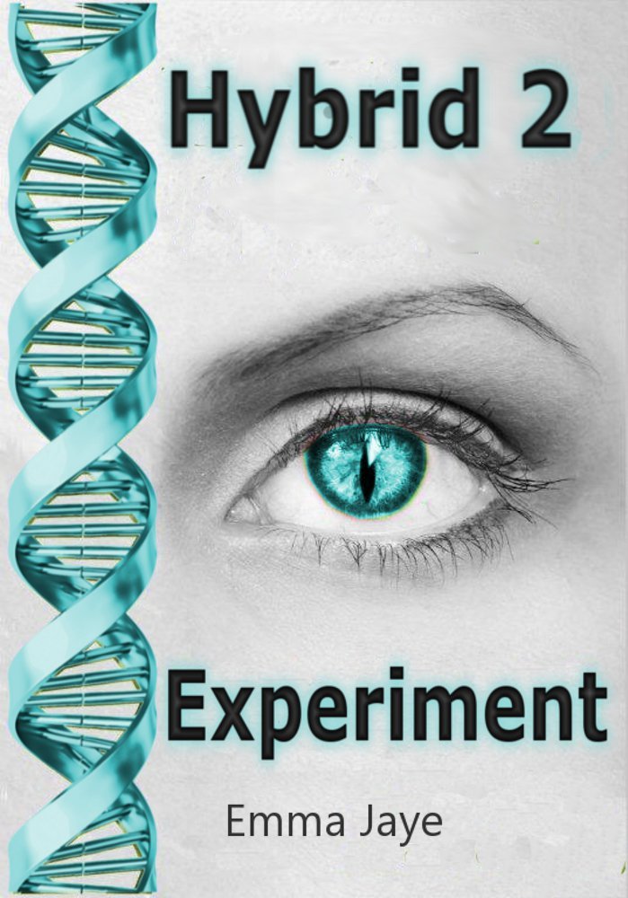 Hybrid book cover 2
