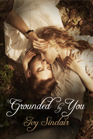 A Willoughby Inn Love Story book cover 2