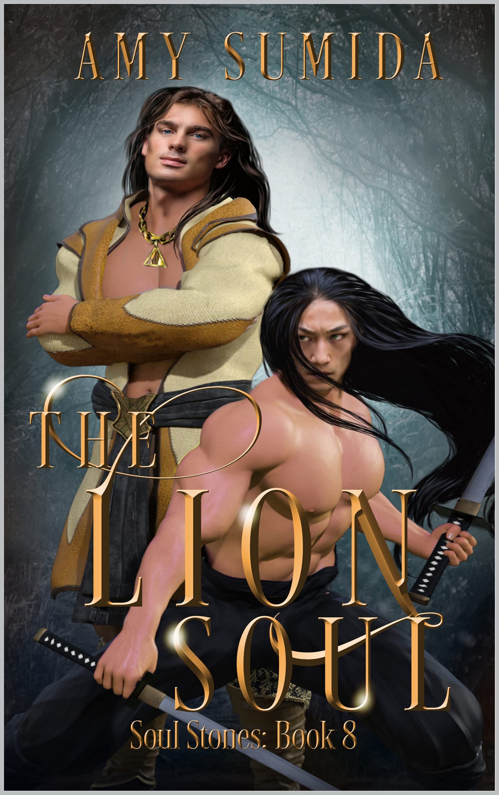 The Lion Soul book cover