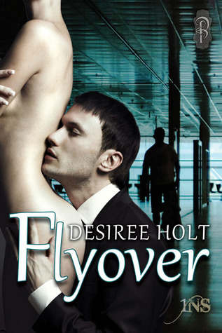 Flyover book cover