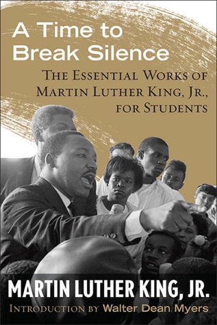 A Time to Break Silence book cover