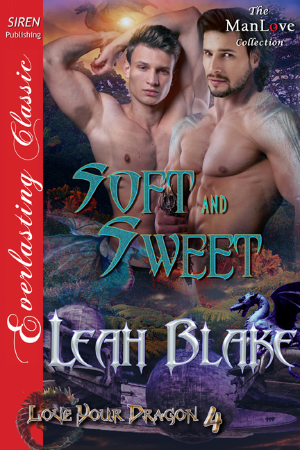 Soft and Sweet book cover