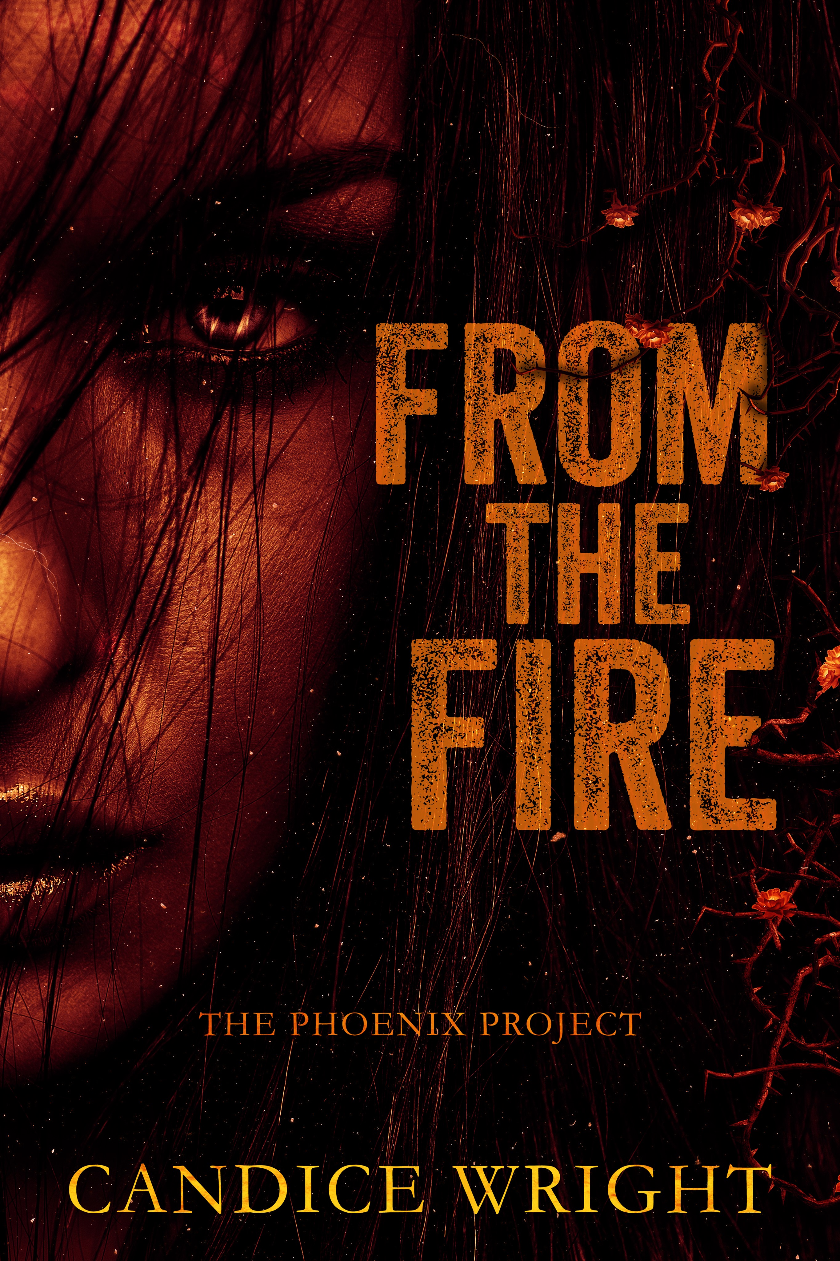The Phoenix Project Duet book cover 2