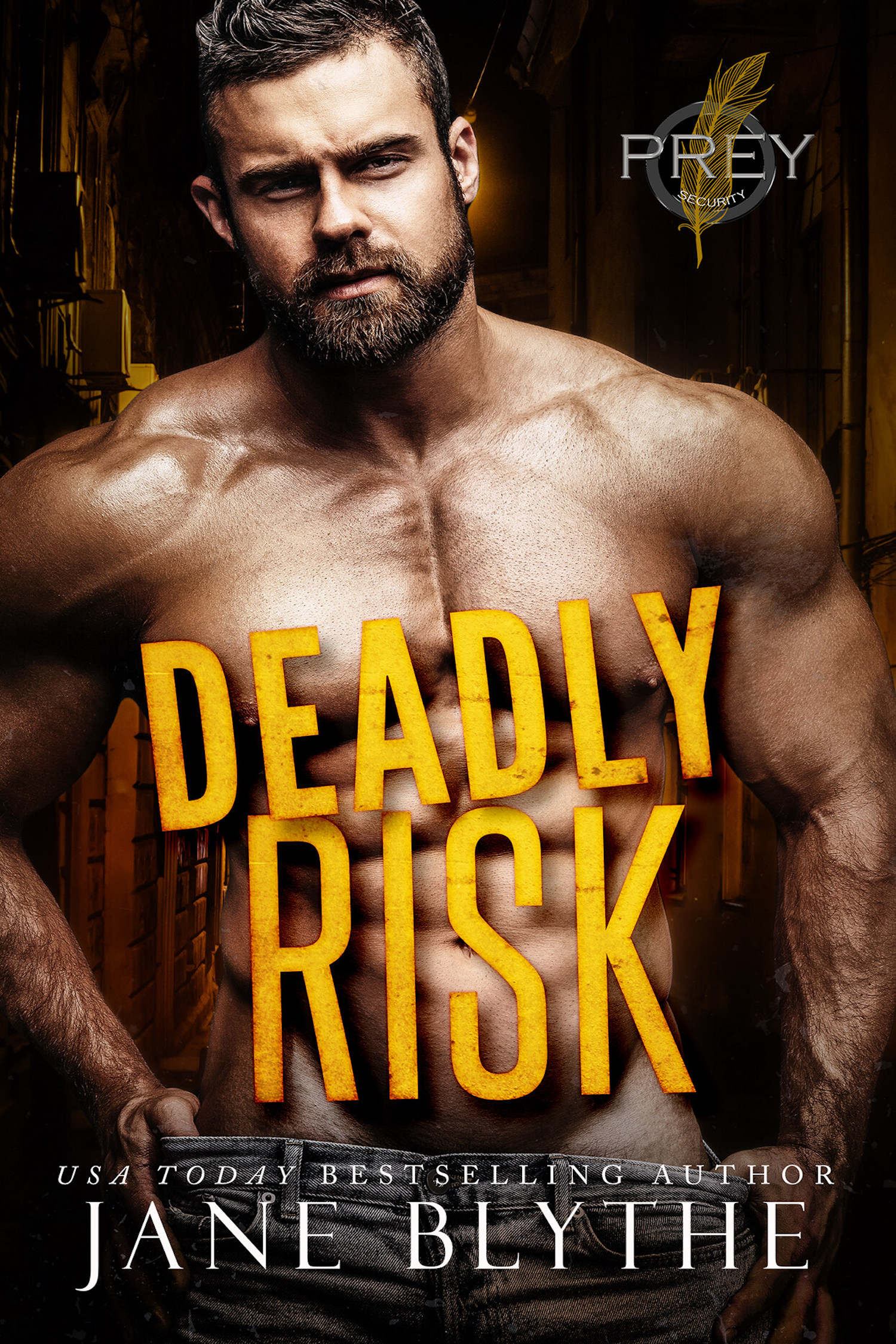 Deadly Risk book cover