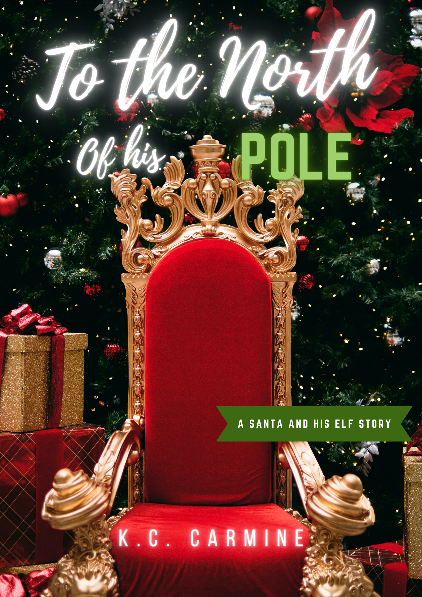 To the North of his Pole book cover