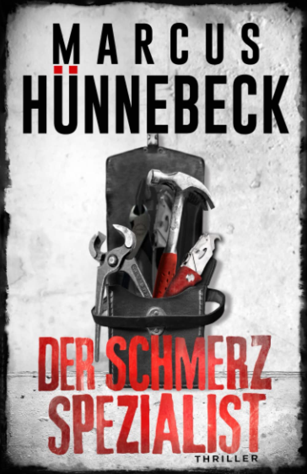 Der Schmerzspezialist book cover