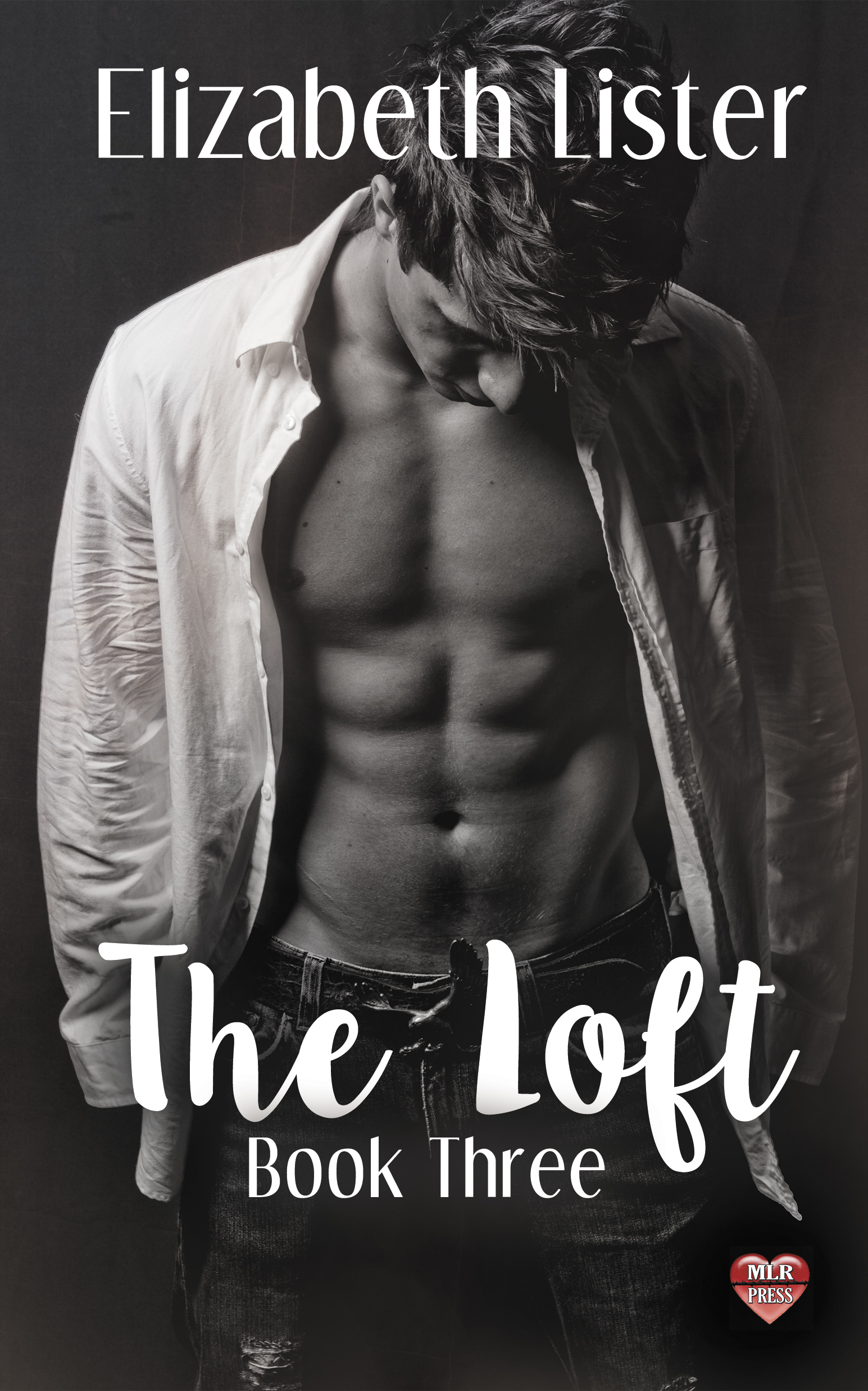The Loft Trilogy book cover 3