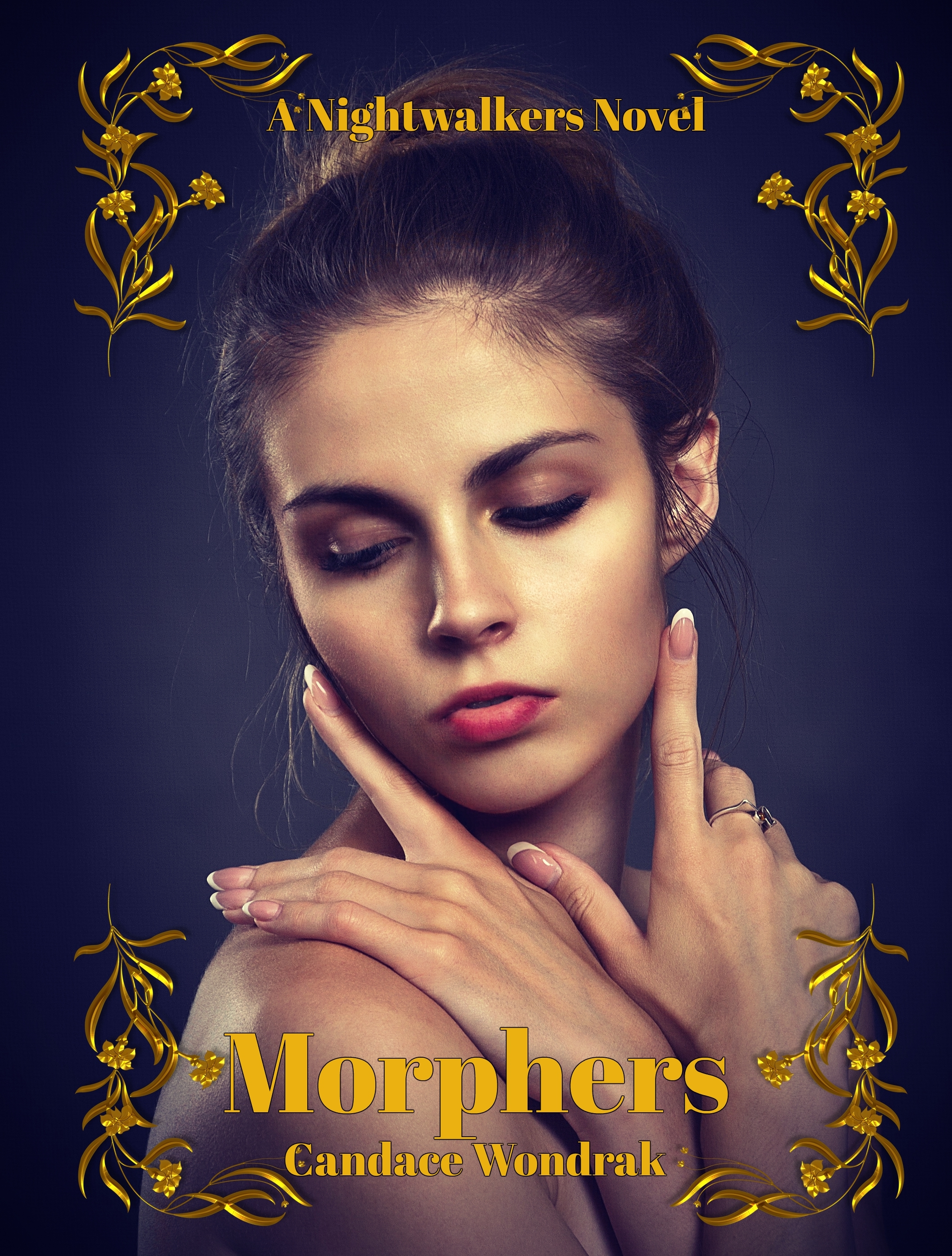 Nightwalkers book cover 2