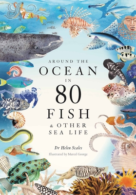 Around the Ocean in 80 Fish & Other Sea Life book cover