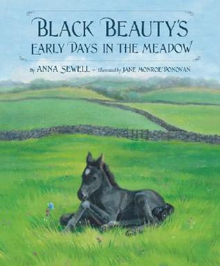 Black Beauty's Early Days in the Meadow book cover