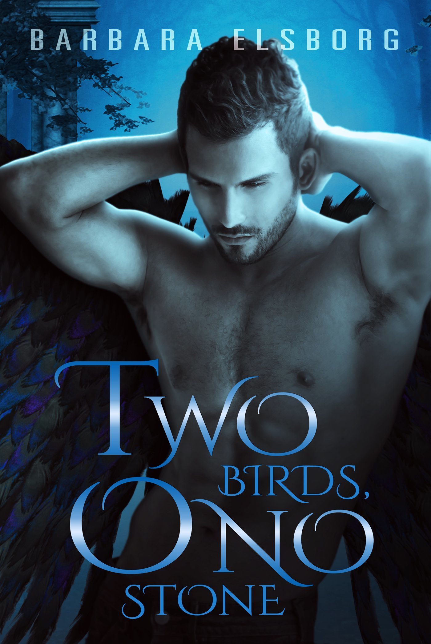 Two Birds, One Stone book cover