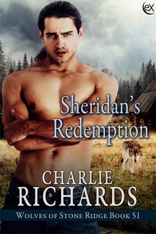Sheridan's Redemption book cover
