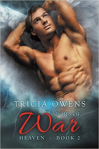 A:R Heaven book cover 2