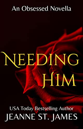 Obsessed book cover 3