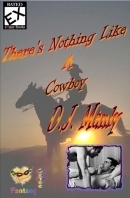 There's Nothing Like a Cowboy book cover