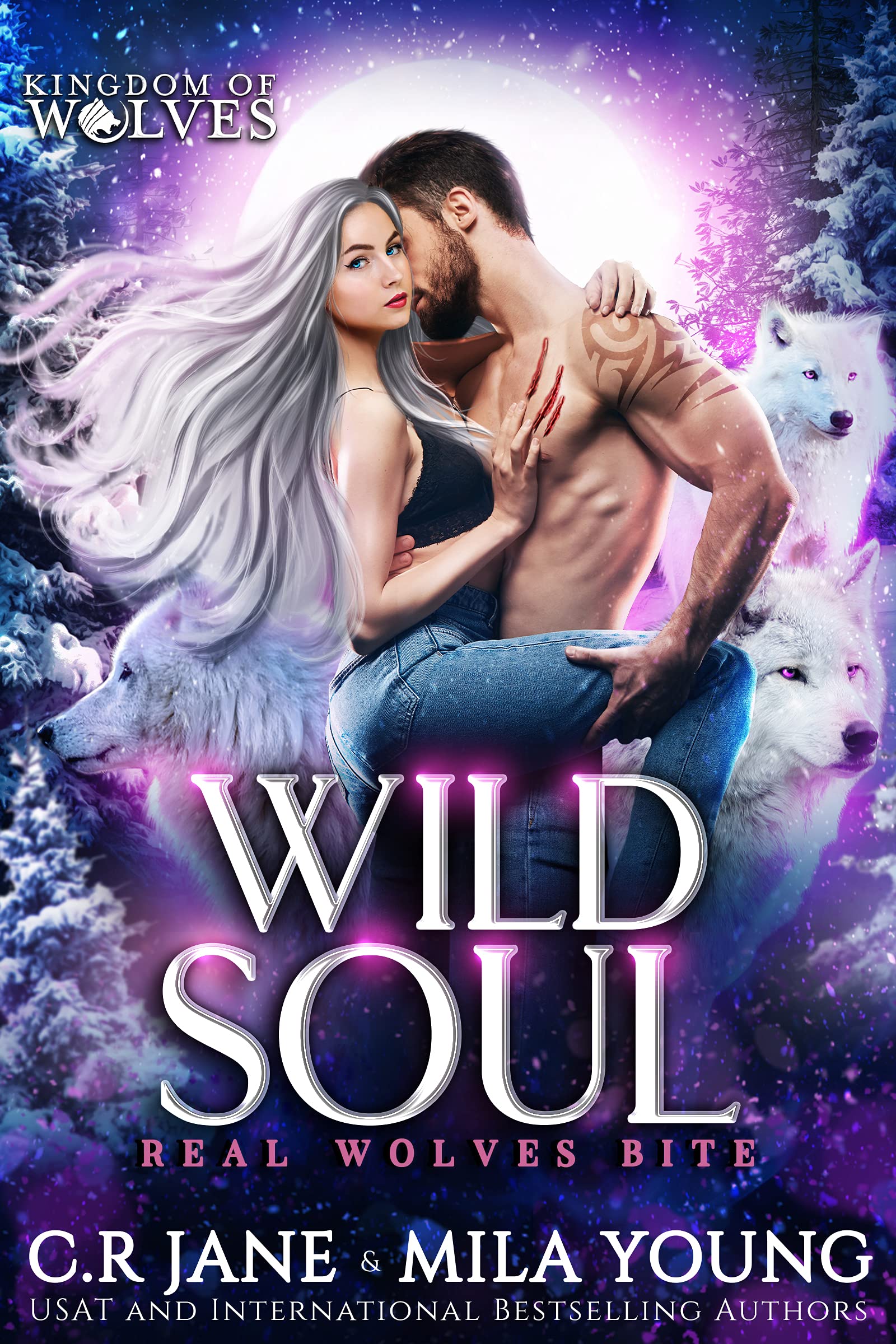 Wild Soul book cover