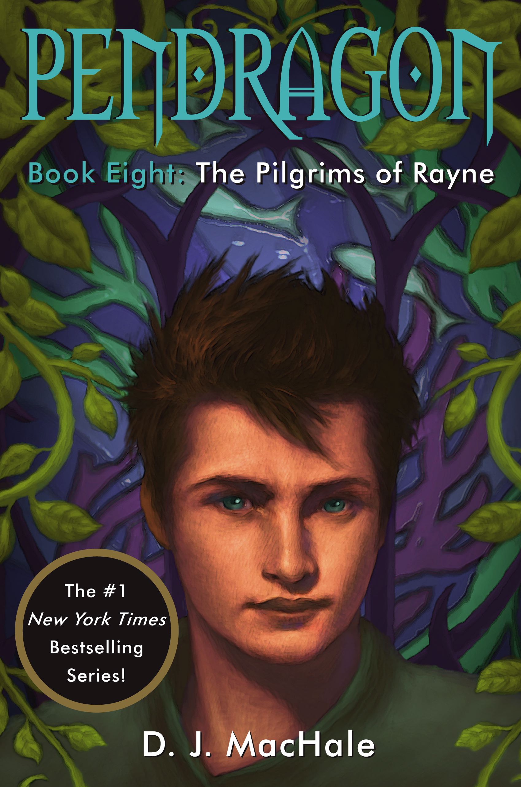 The Pilgrims of Rayne book cover
