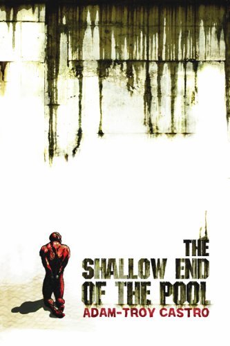 The Shallow End of the Pool book cover
