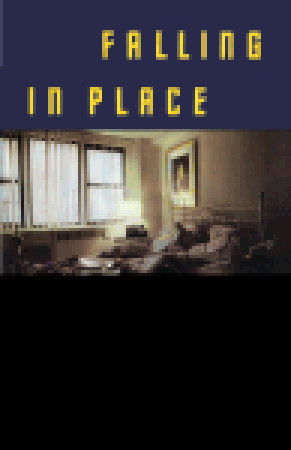 Falling in Place book cover