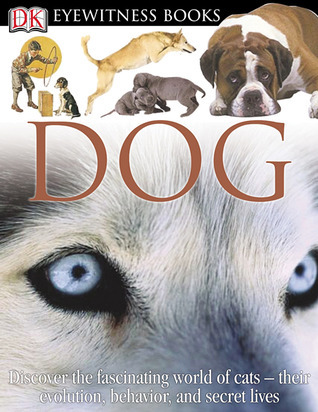 DK Eyewitness Books book cover
