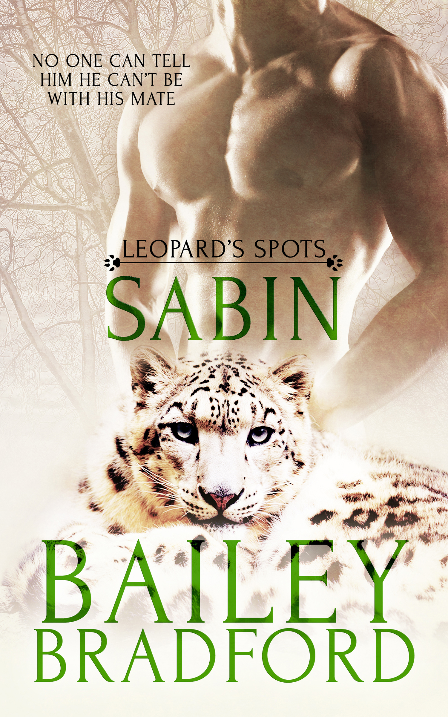 Sabin book cover