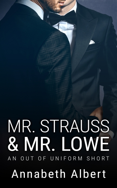 Mr. Strauss & Mr. Lowe book cover