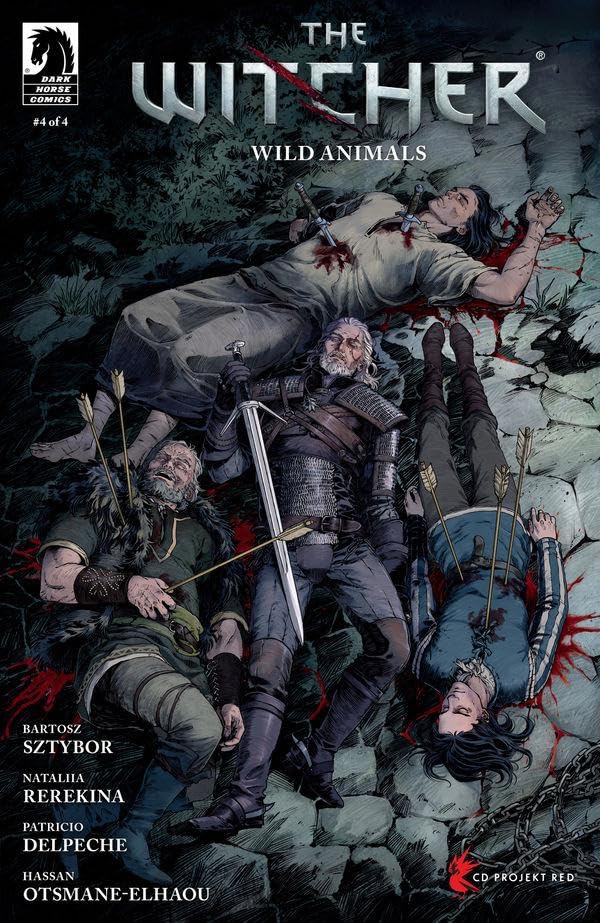 The Witcher book cover
