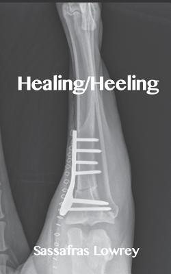 Healing/Heeling book cover